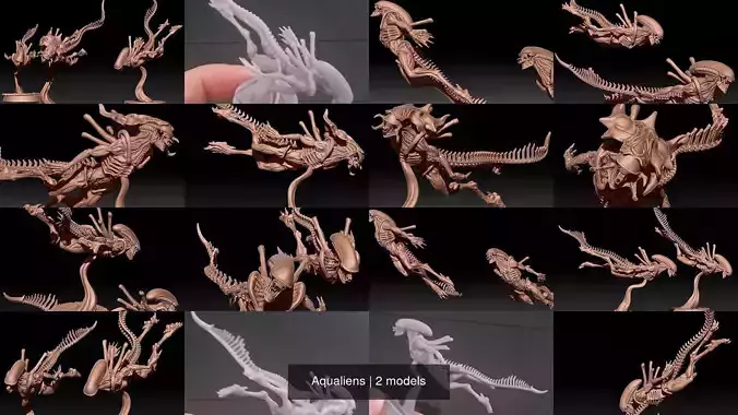 Aqualiens 3D Model Collection