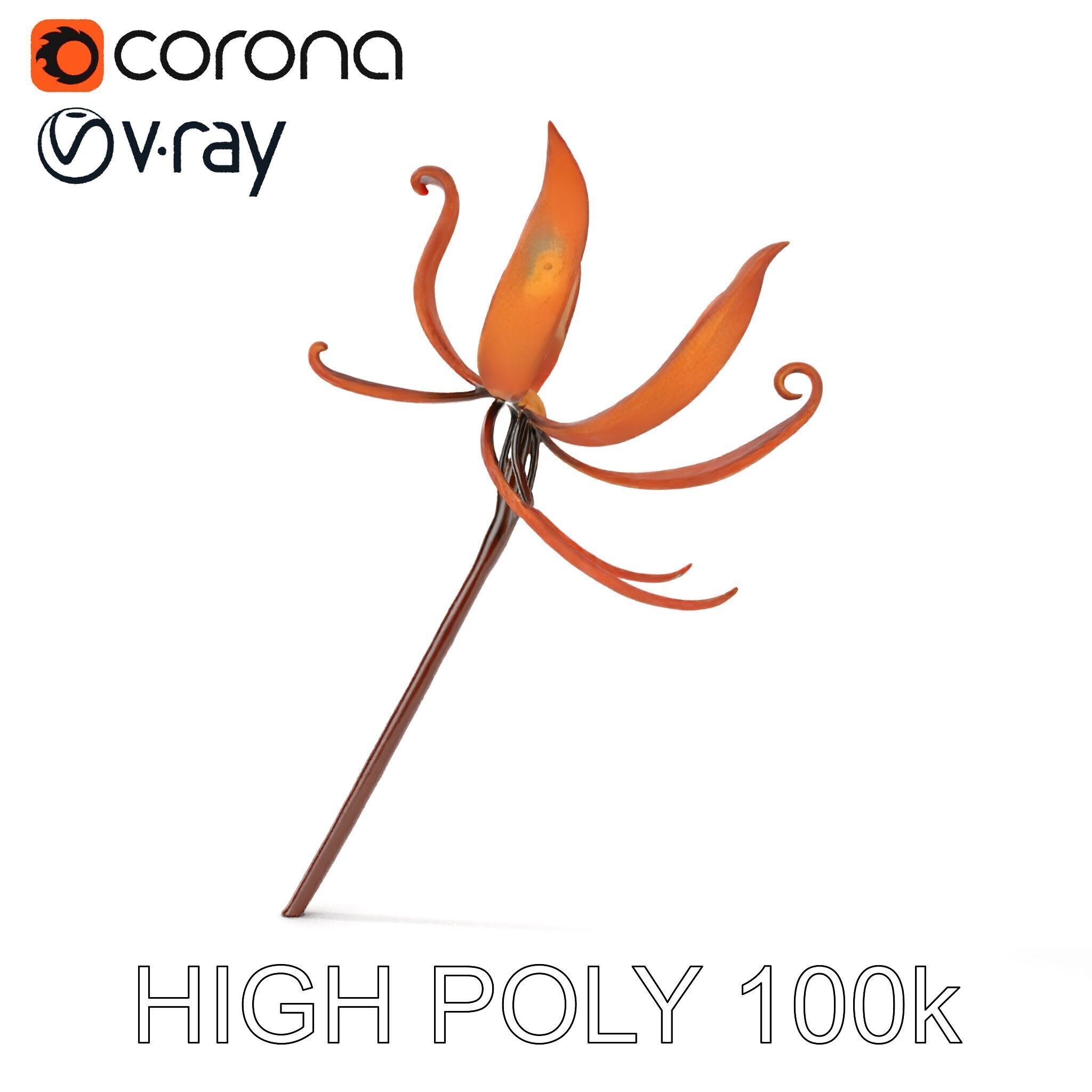 Rustic Flower Model Pack with Decorative Design Low-poly 3D model_14