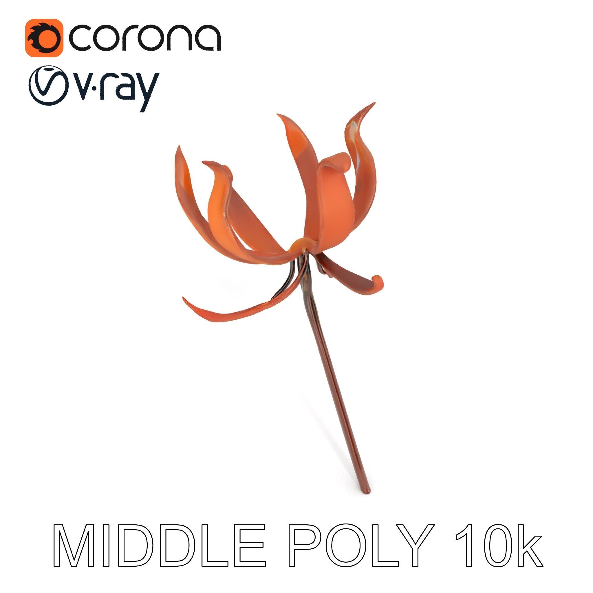 Rustic Flower Model Pack with Decorative Design Low-poly 3D model_12