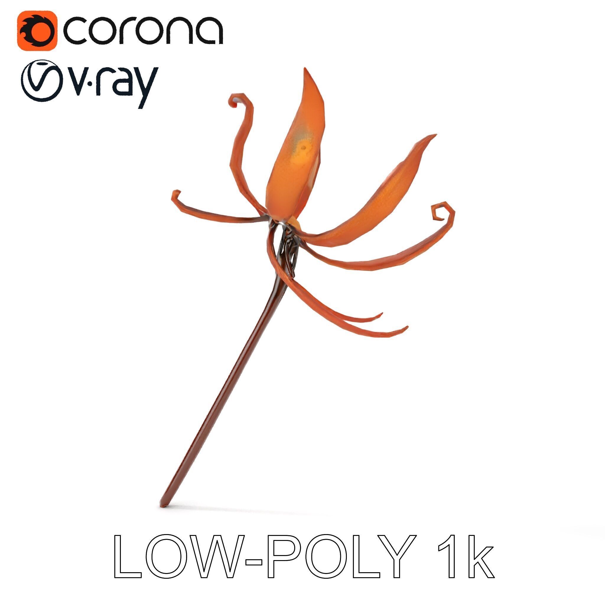 Rustic Flower Model Pack with Decorative Design Low-poly 3D model_10