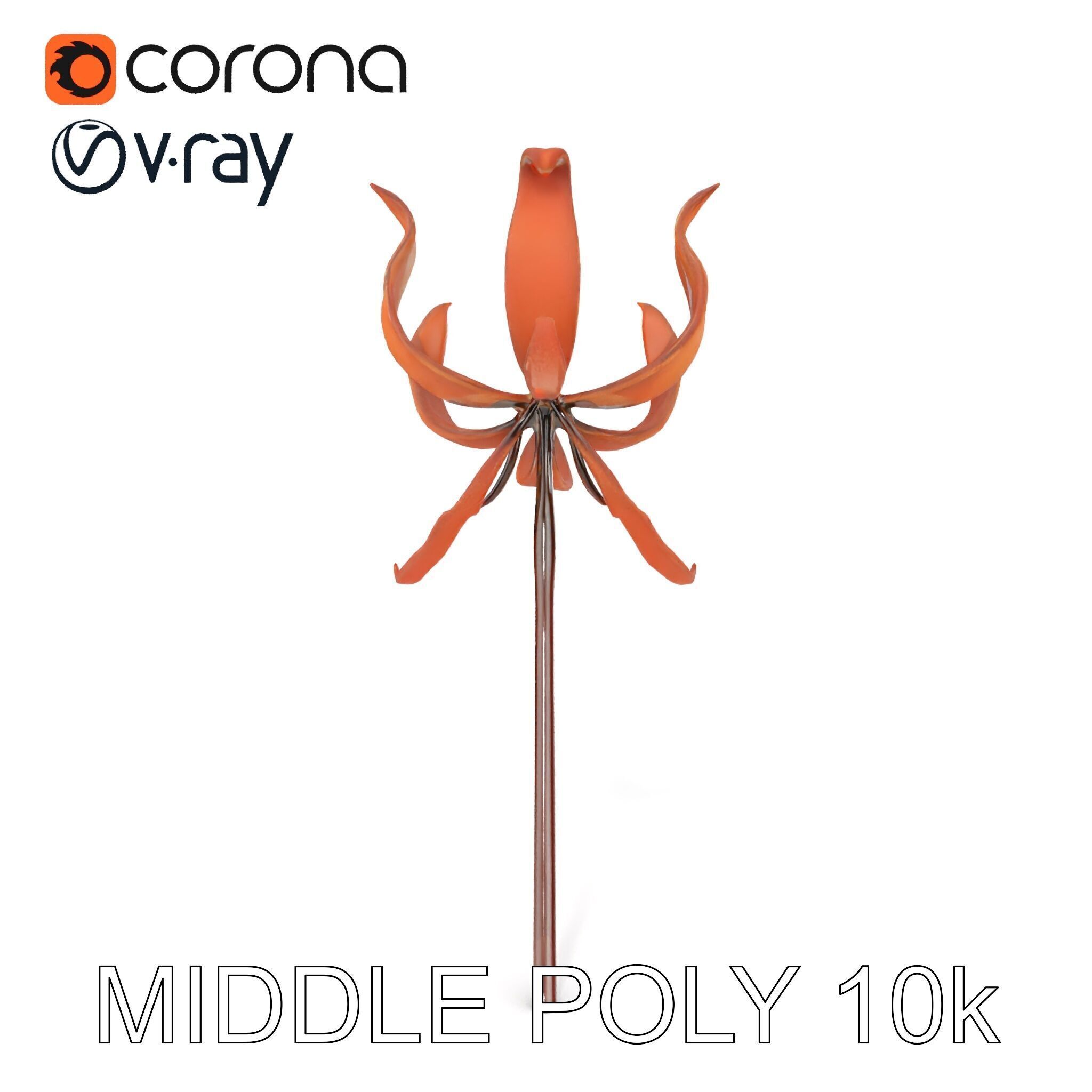 Rustic Flower Model Pack with Decorative Design Low-poly 3D model_15