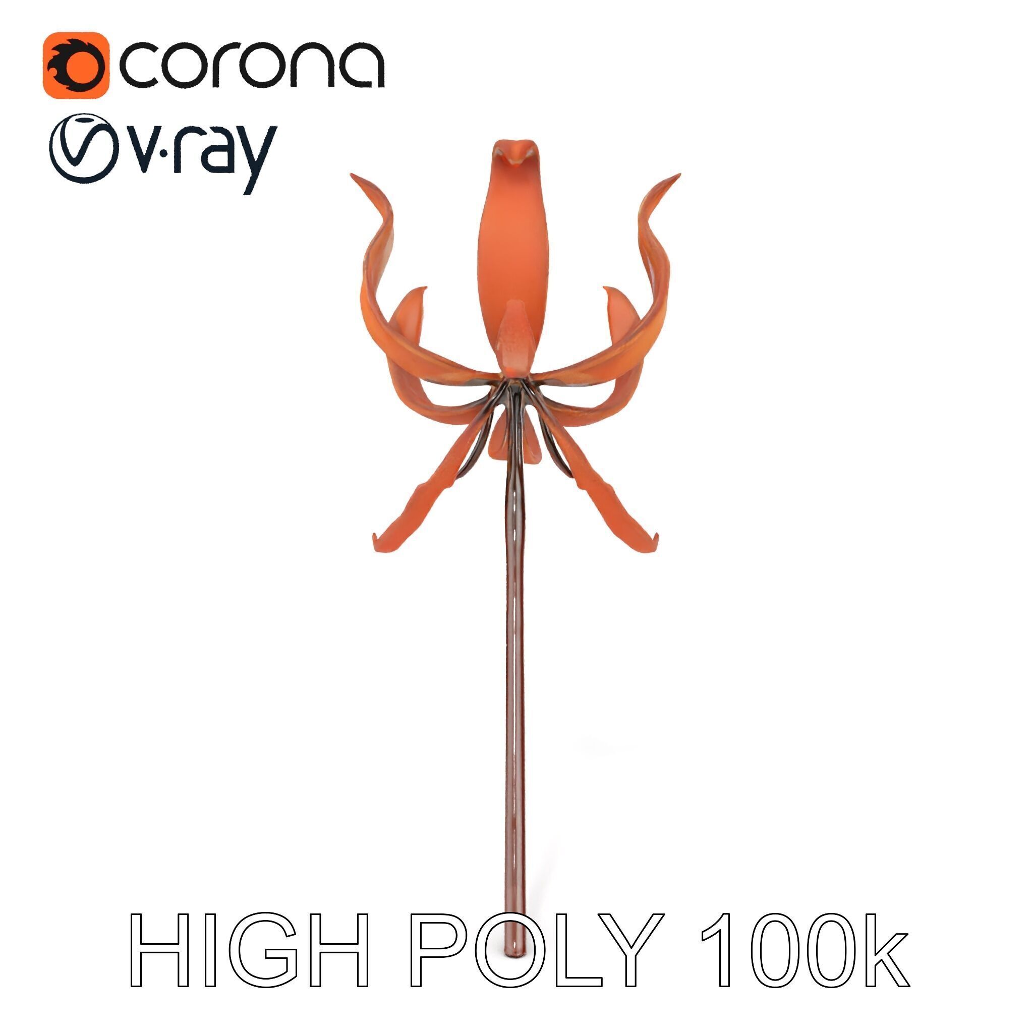 Rustic Flower Model Pack with Decorative Design Low-poly 3D model_22