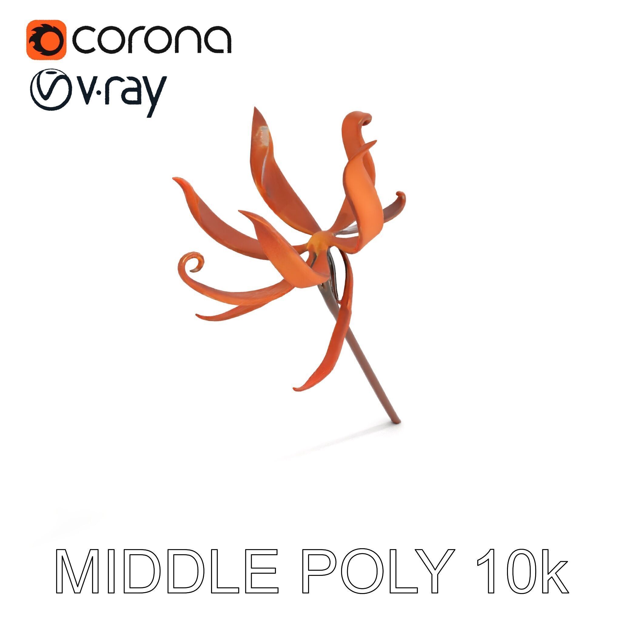 Rustic Flower Model Pack with Decorative Design Low-poly 3D model_7