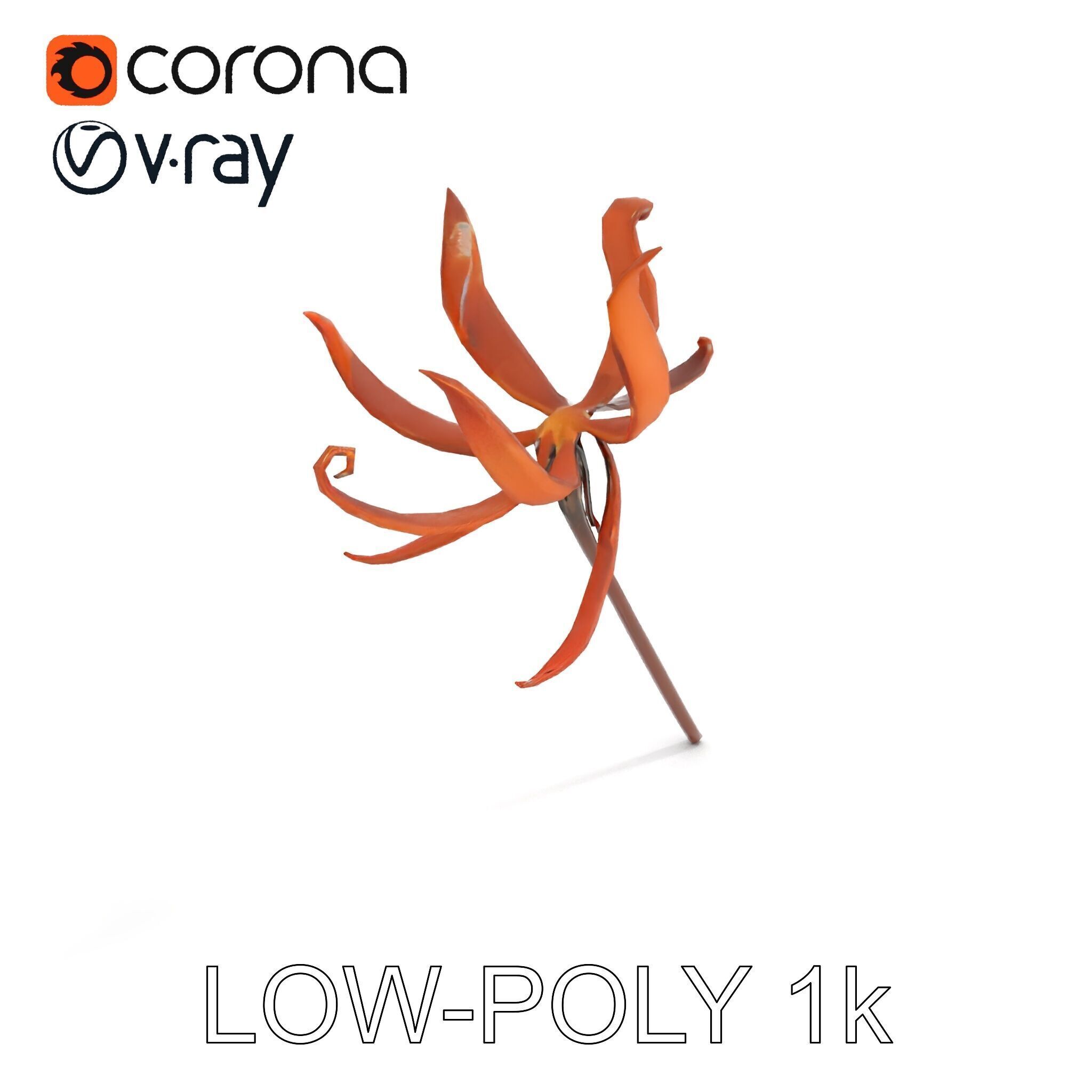 Rustic Flower Model Pack with Decorative Design Low-poly 3D model_19