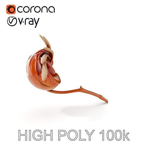 Spiral Seed Pod Model Pack Low-poly 3D model