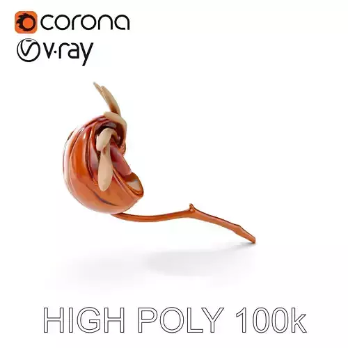 Spiral Seed Pod Model Pack