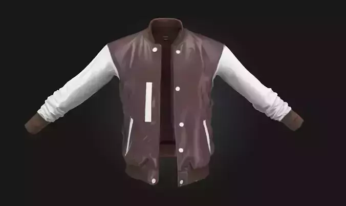 Varsity Jacket  Icon of Youth Style and School Spirit