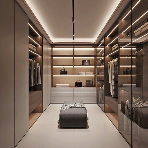 Modern Minimalist Walk - in Closet 3D Scene 3D model
