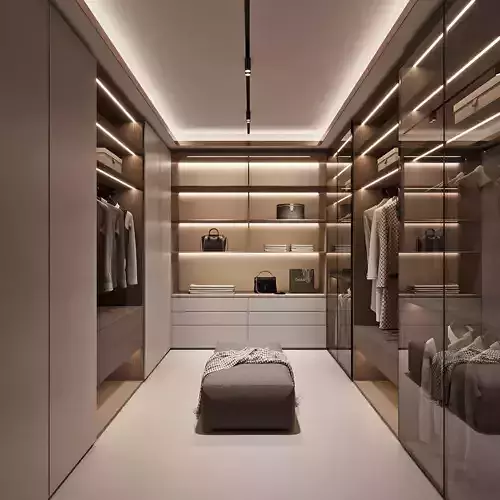 Modern Minimalist Walk - in Closet 3D Scene