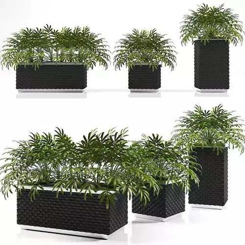 planter box 1 3D model