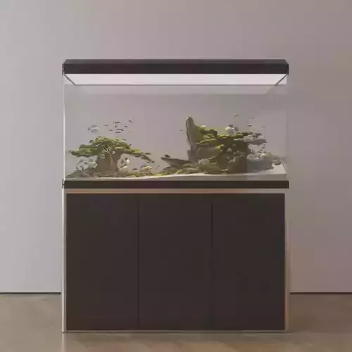 Modern Large - scale Ecological Aquarium 3D Model