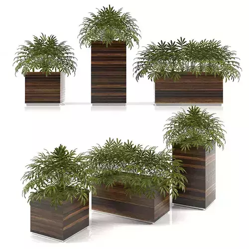 planter box 2 3D model