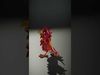 Vibrant Phoenix Bird Model Pack for Animation and Games Low-poly 3D model_2