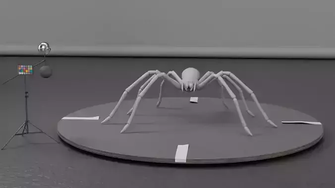 VFX Spider 3D Model