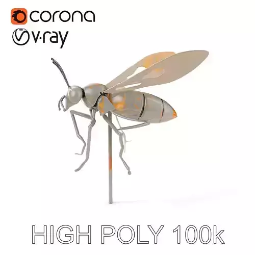 Realistic Insect Model Pack for D Animation and Rendering Low-poly 3D model