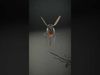 Realistic Insect Model Pack for D Animation and Rendering Low-poly 3D model_2