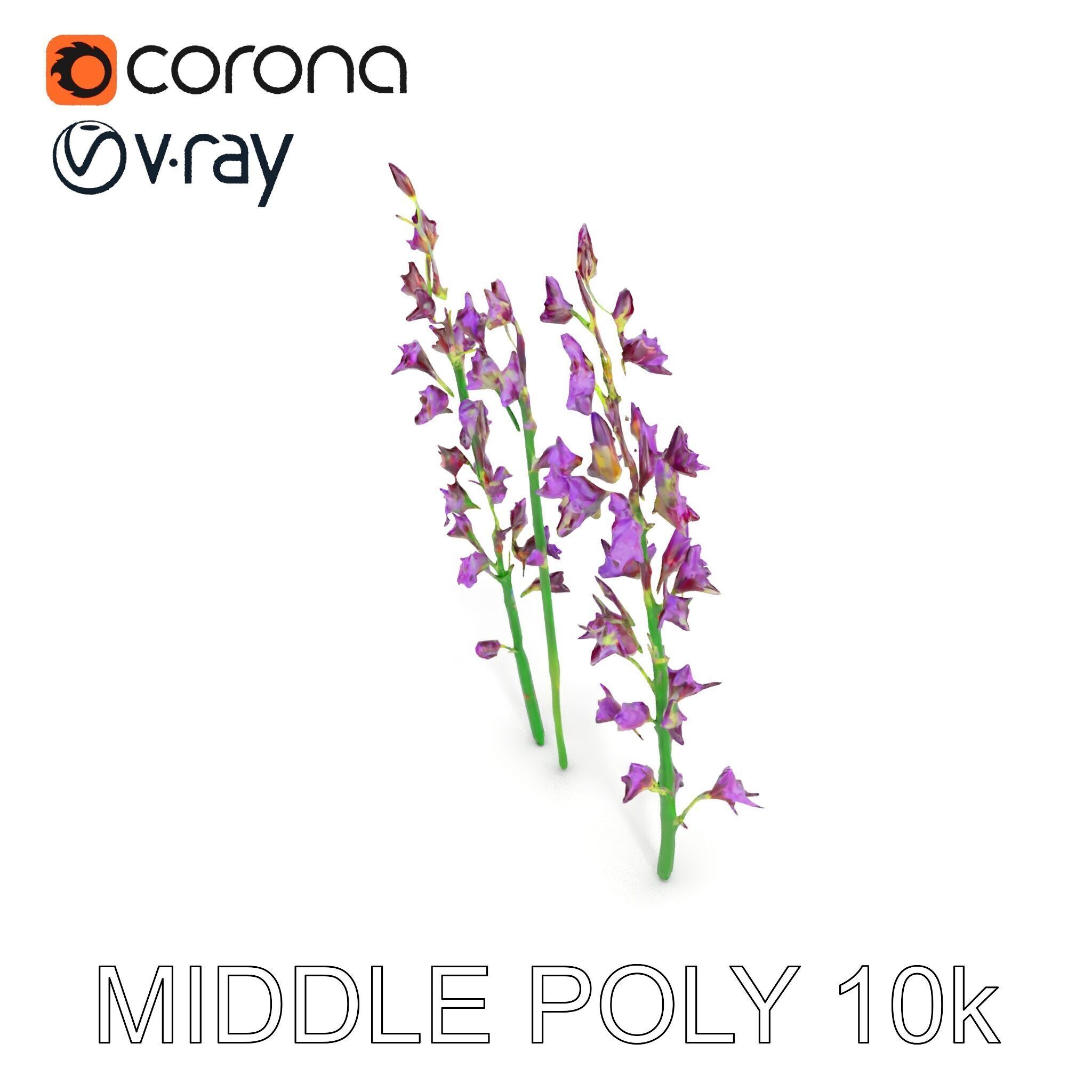 Lavender Flower Model Pack for Realistic Rendering Low-poly 3D model_25