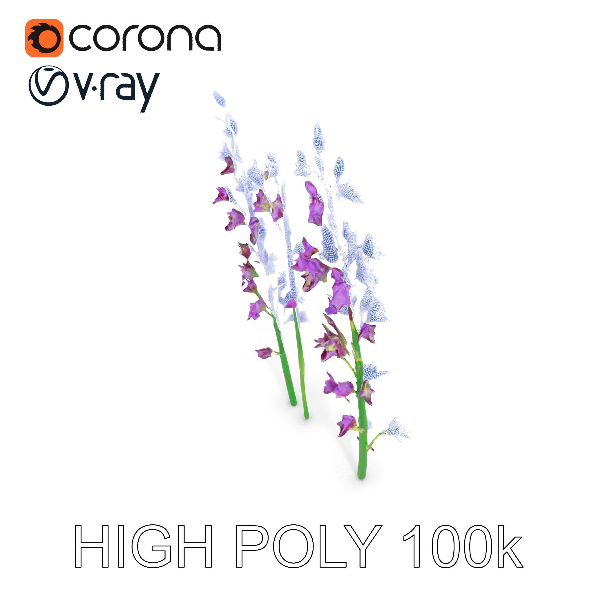 Lavender Flower Model Pack for Realistic Rendering Low-poly 3D model_30