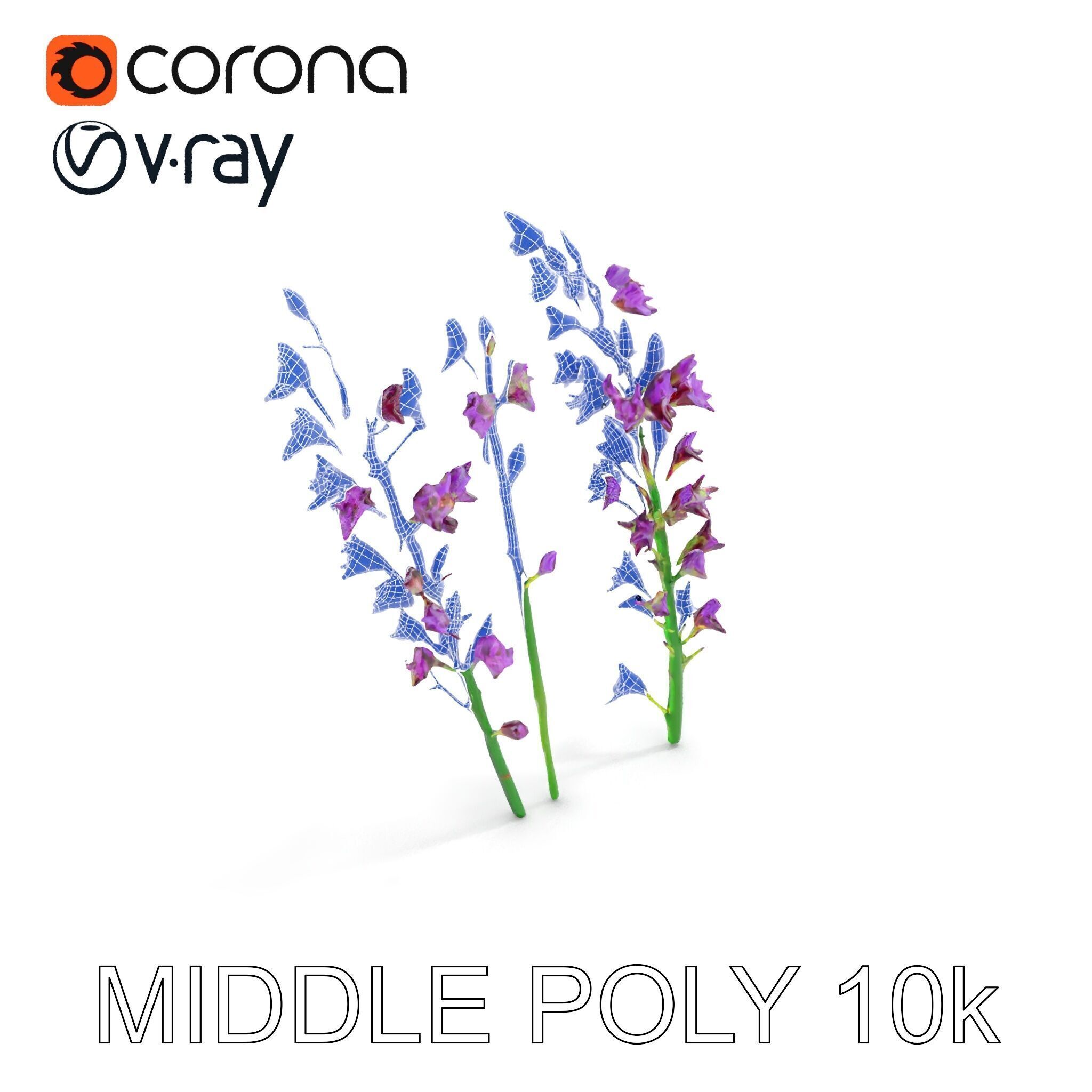 Lavender Flower Model Pack for Realistic Rendering Low-poly 3D model_31