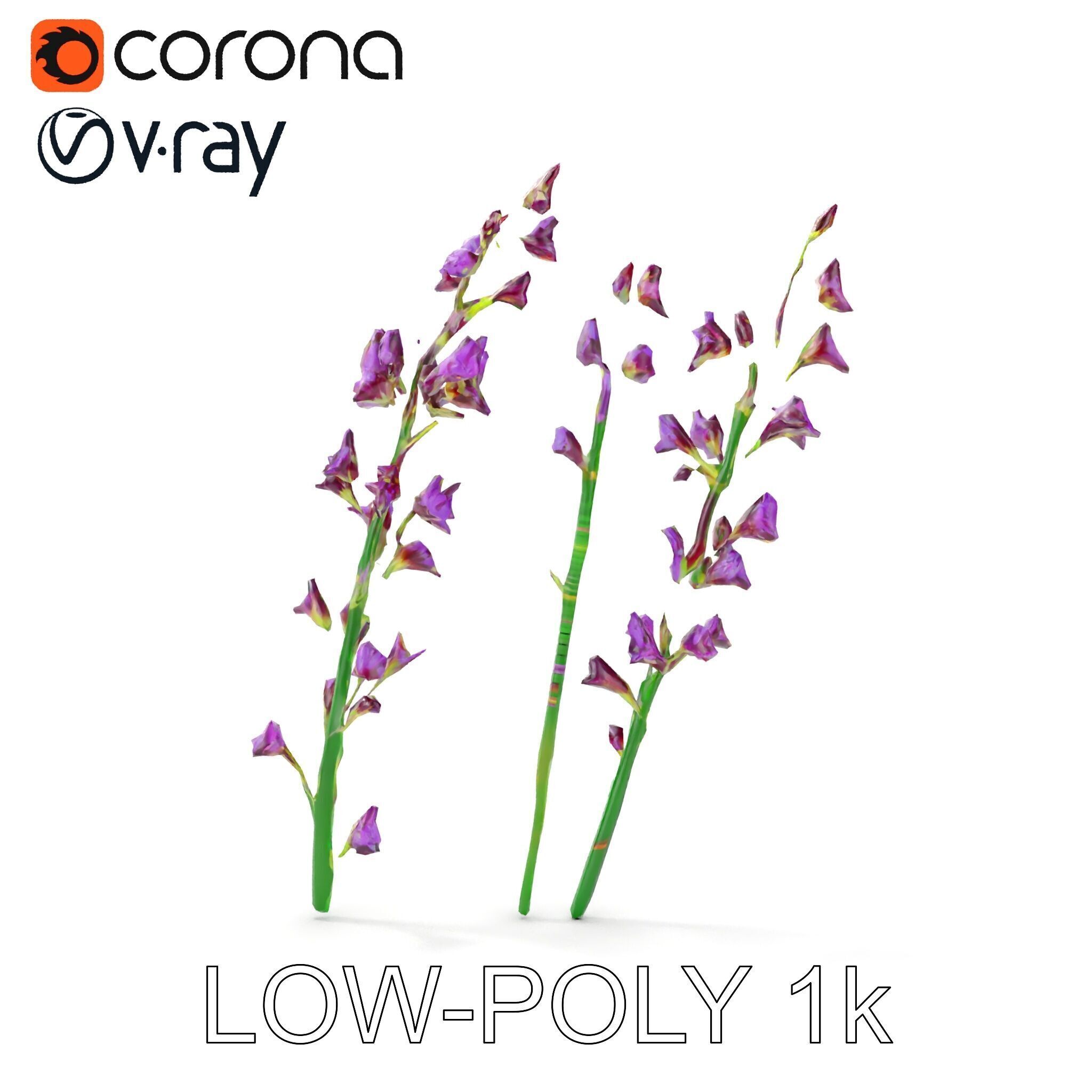 Lavender Flower Model Pack for Realistic Rendering Low-poly 3D model_32