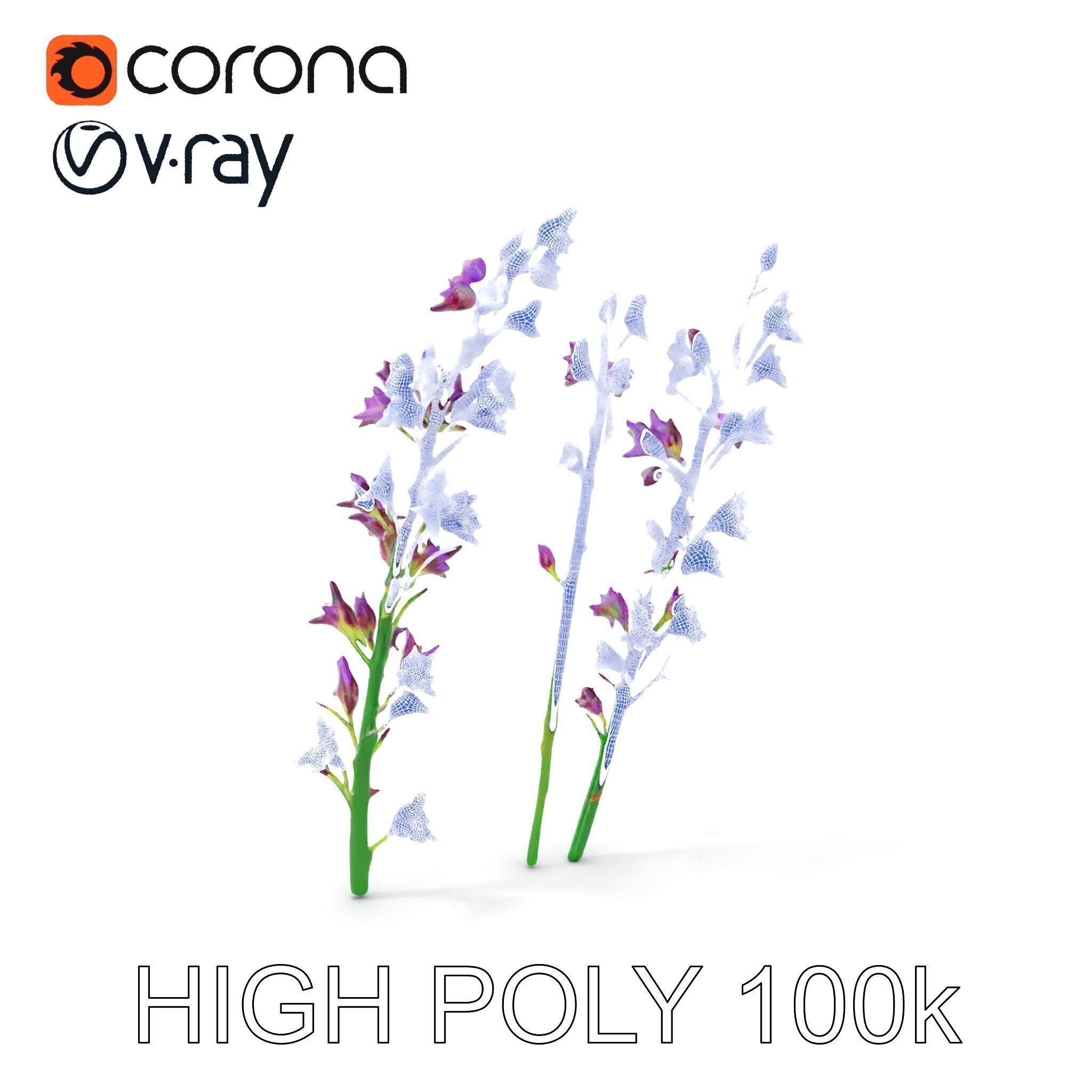Lavender Flower Model Pack for Realistic Rendering Low-poly 3D model_5