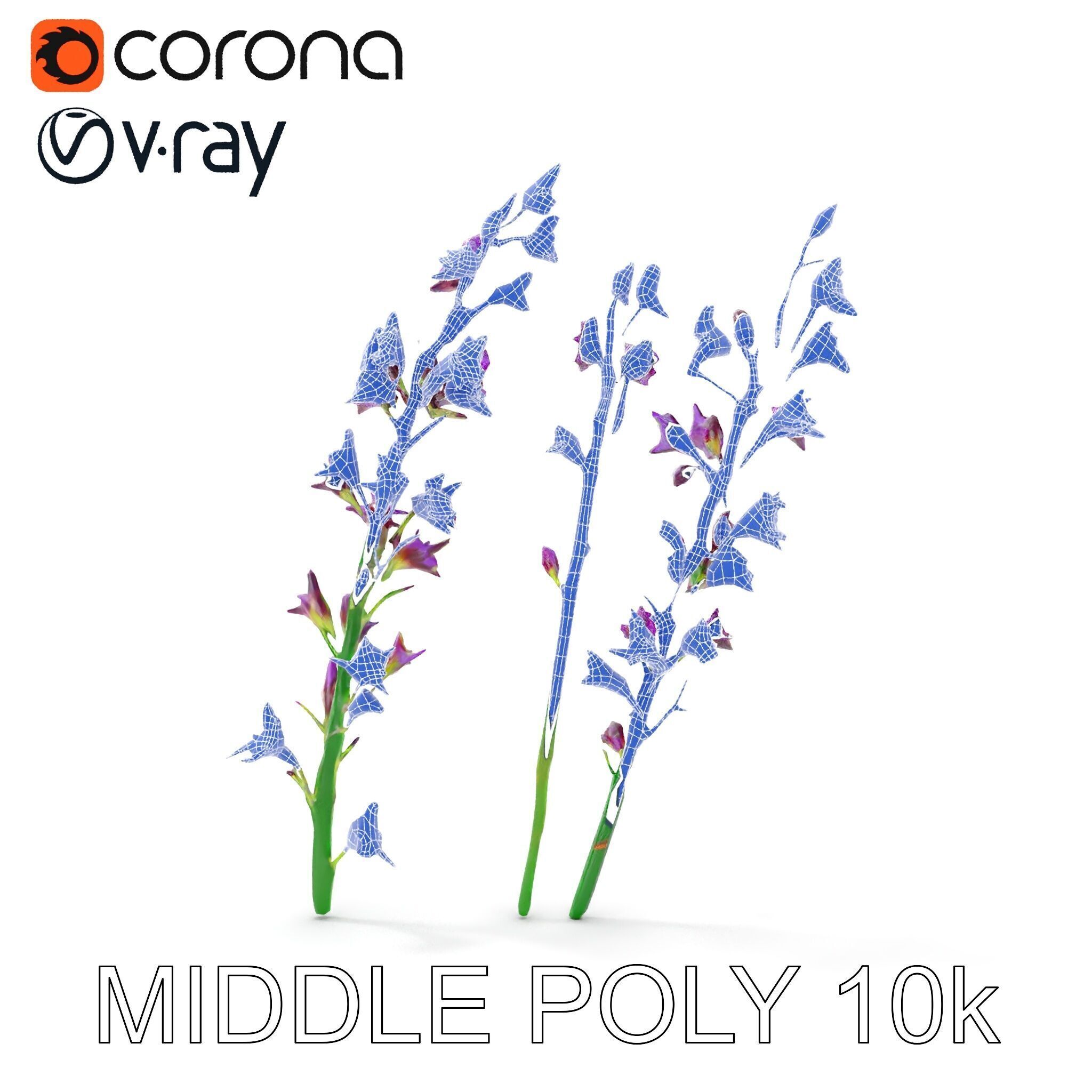 Lavender Flower Model Pack for Realistic Rendering Low-poly 3D model_22