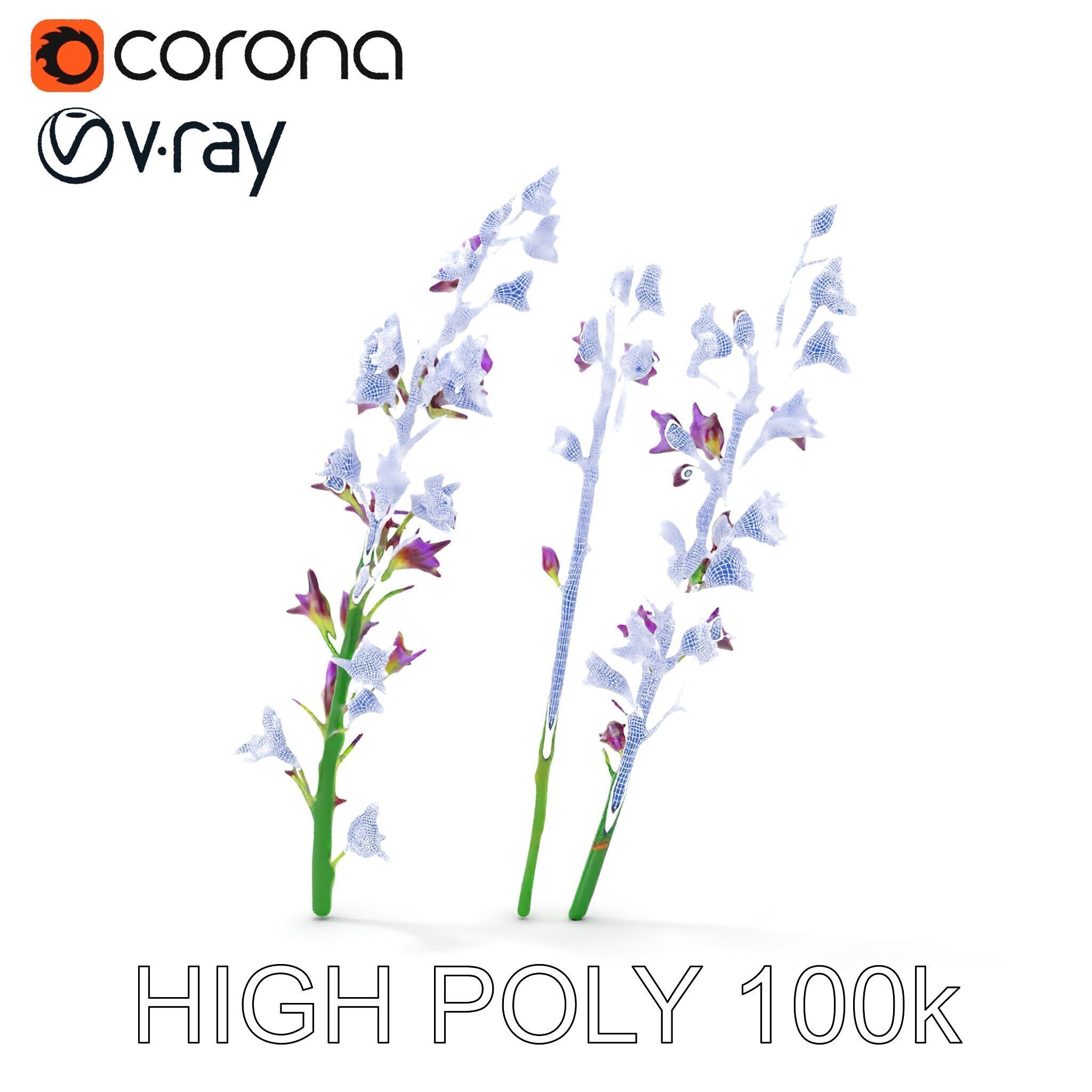 Lavender Flower Model Pack for Realistic Rendering Low-poly 3D model_36