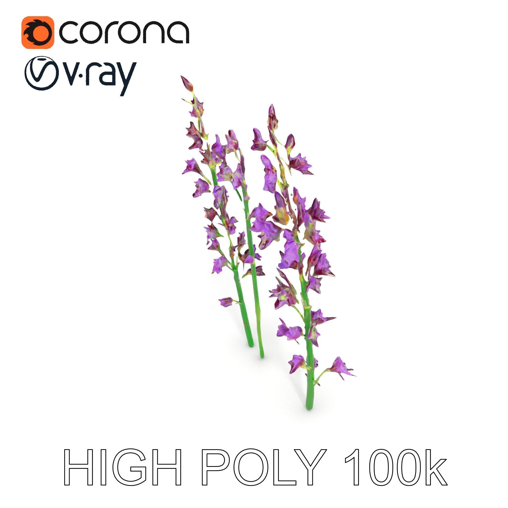 Lavender Flower Model Pack for Realistic Rendering Low-poly 3D model_24