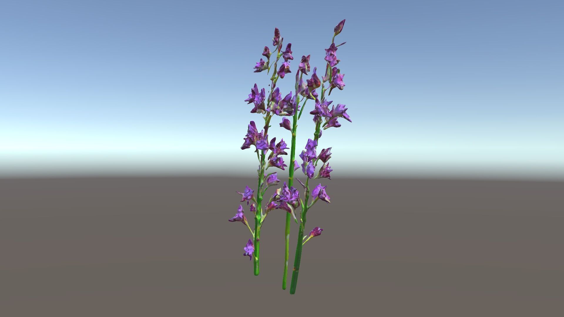 Lavender Flower Model Pack for Realistic Rendering Low-poly 3D model_6