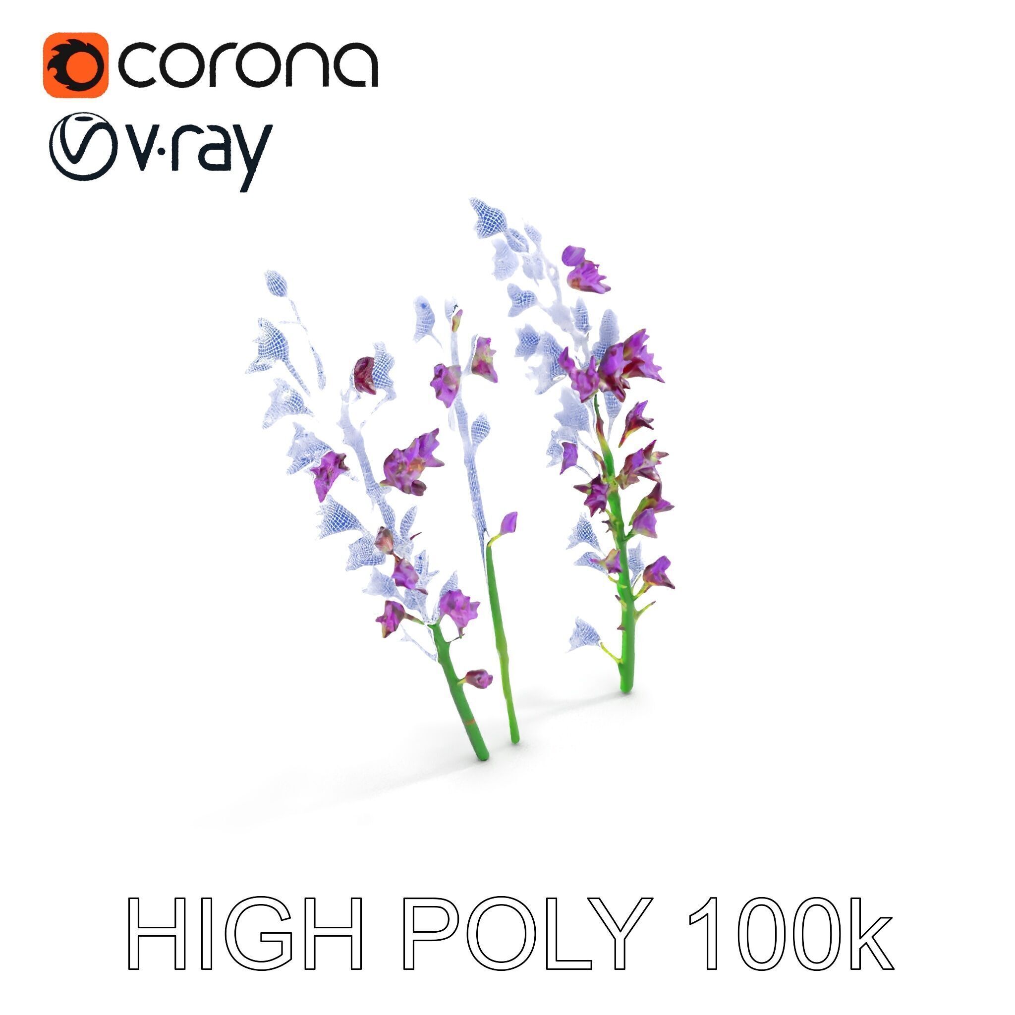 Lavender Flower Model Pack for Realistic Rendering Low-poly 3D model_27
