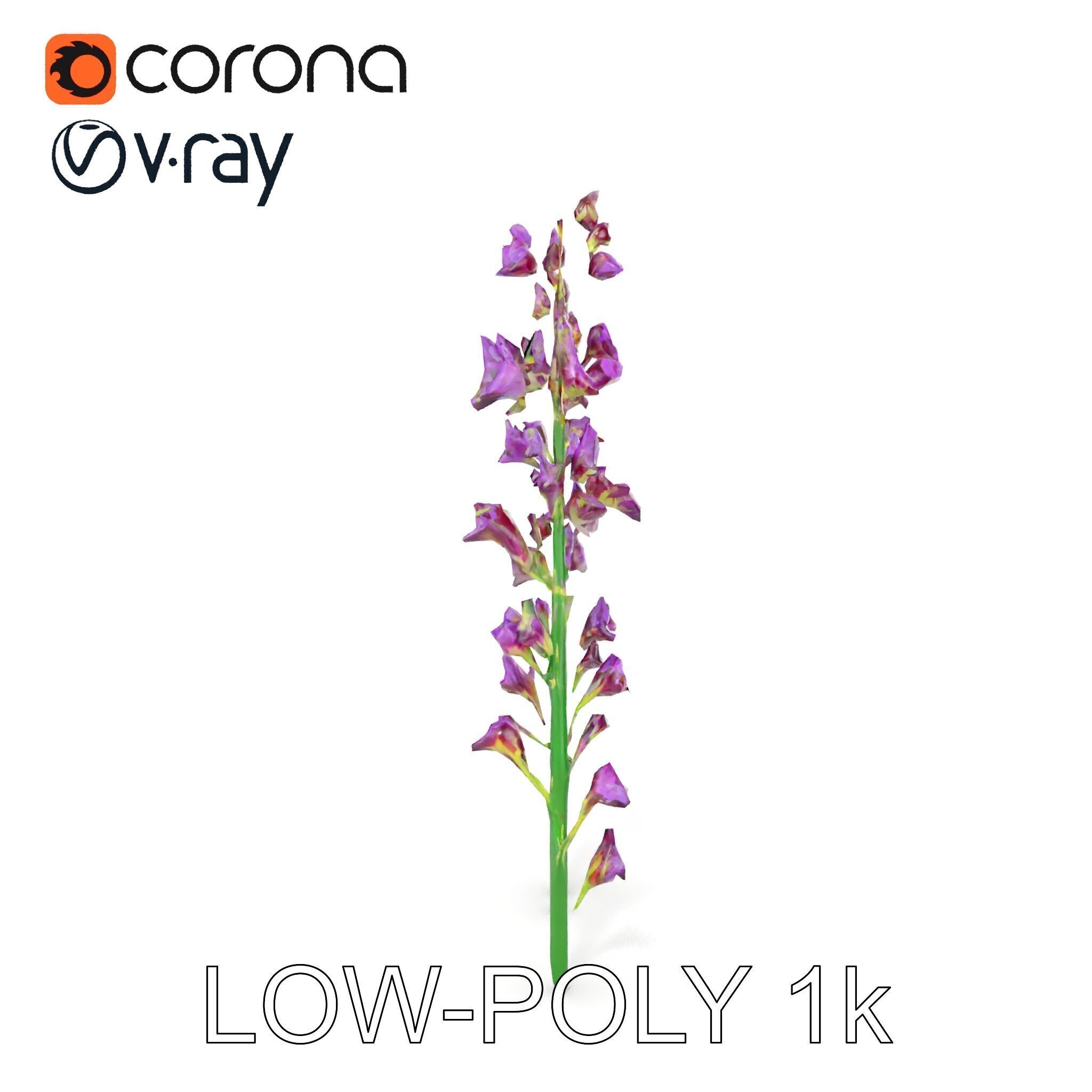 Lavender Flower Model Pack for Realistic Rendering Low-poly 3D model_23