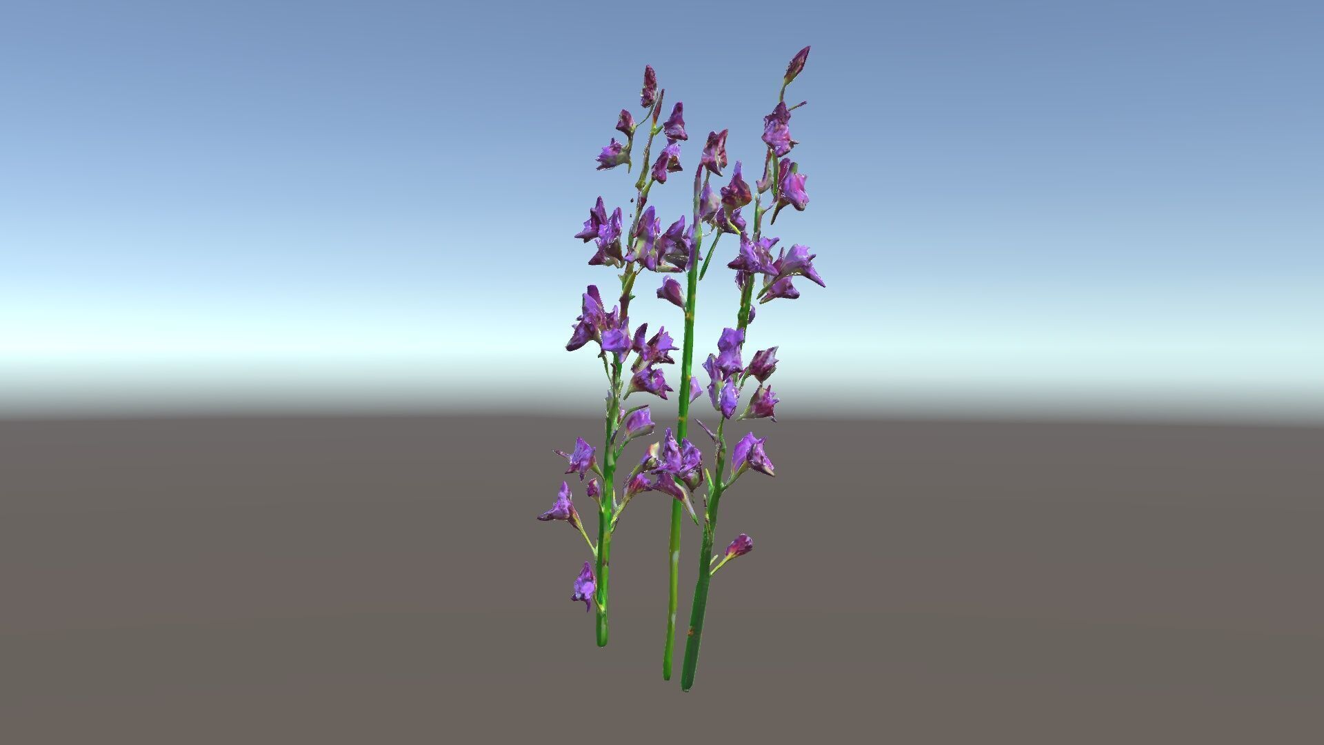 Lavender Flower Model Pack for Realistic Rendering Low-poly 3D model_34