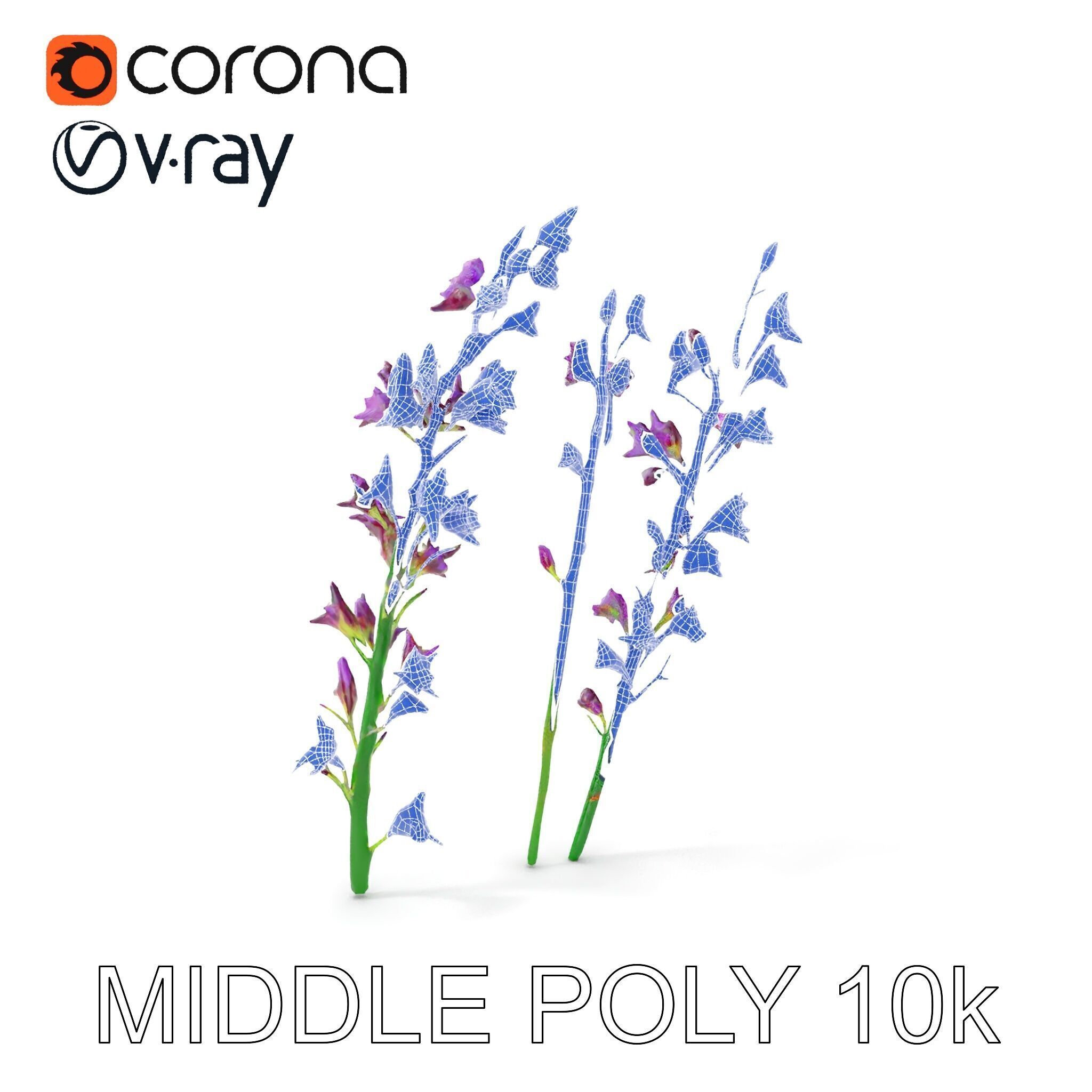 Lavender Flower Model Pack for Realistic Rendering Low-poly 3D model_19