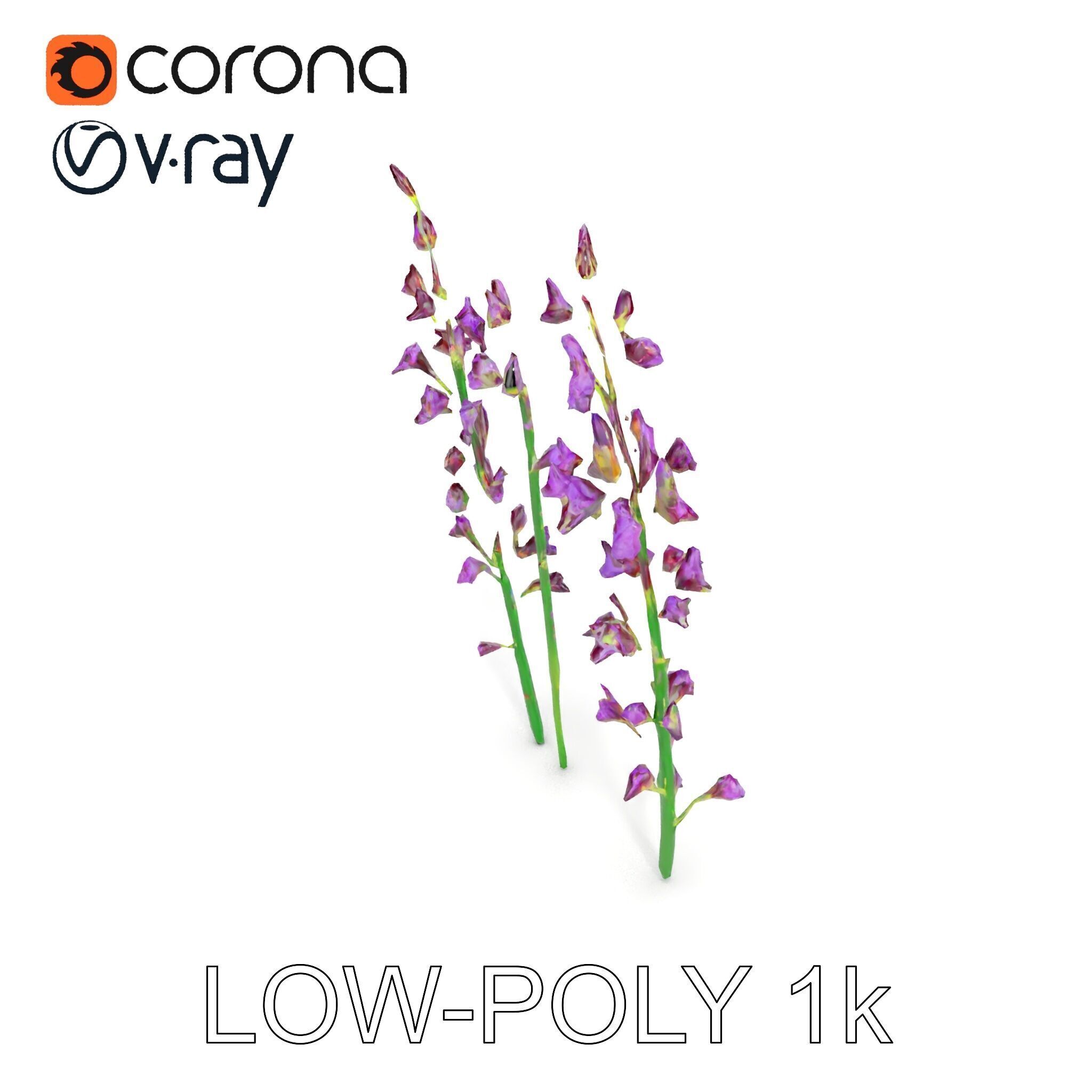 Lavender Flower Model Pack for Realistic Rendering Low-poly 3D model_18
