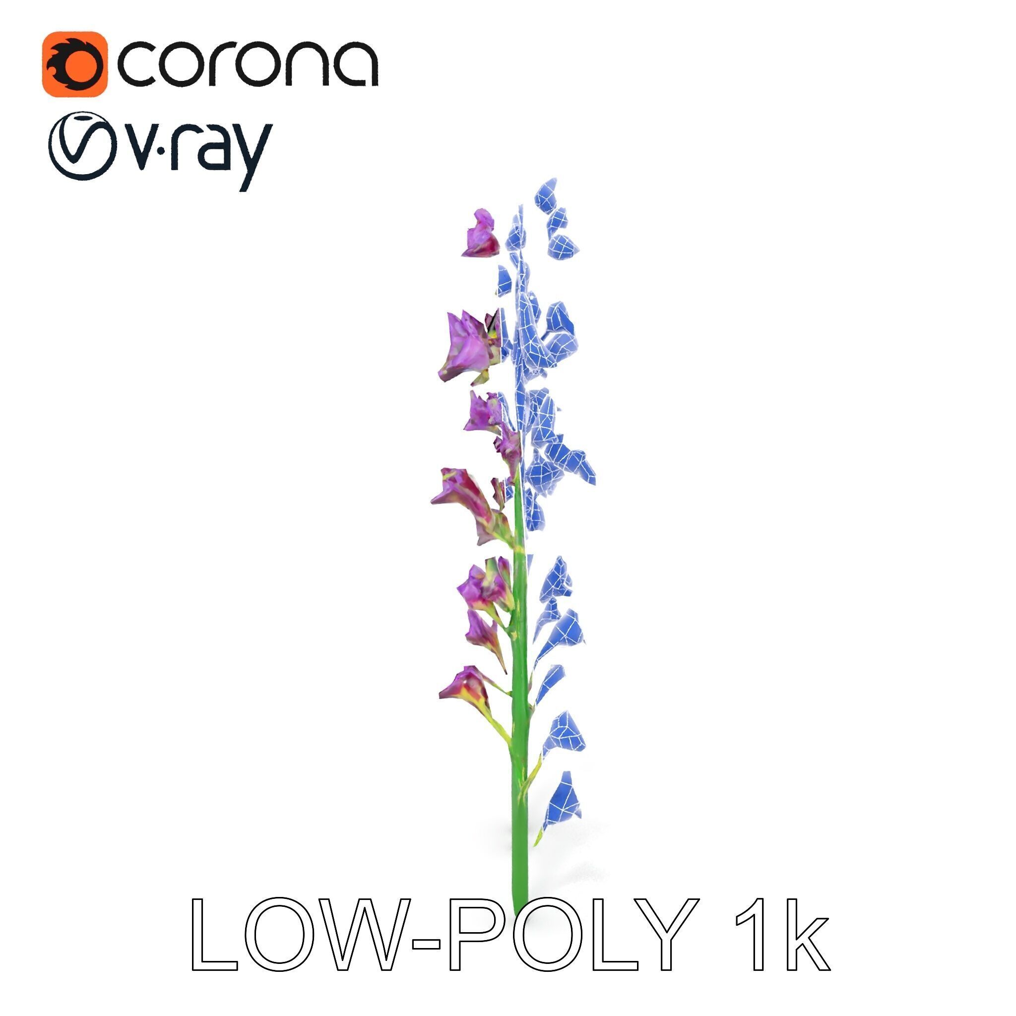 Lavender Flower Model Pack for Realistic Rendering Low-poly 3D model_20