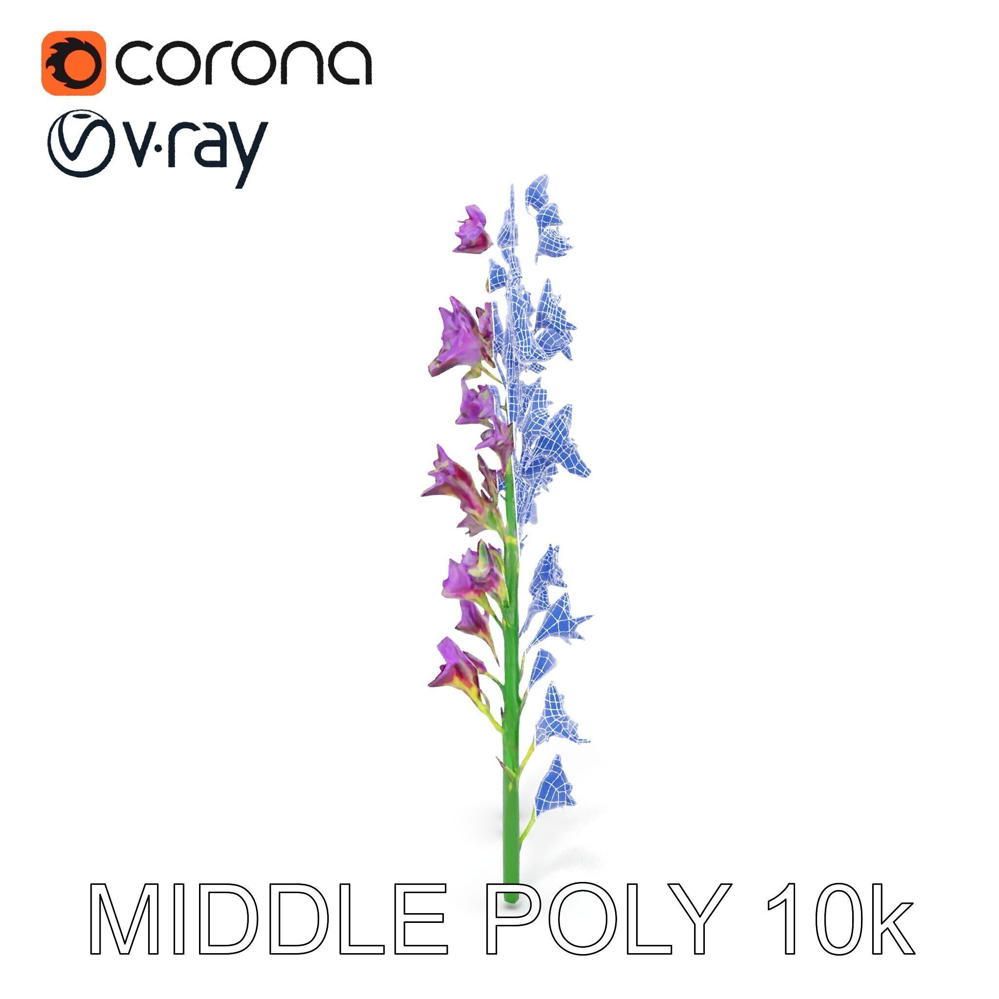 Lavender Flower Model Pack for Realistic Rendering Low-poly 3D model_28