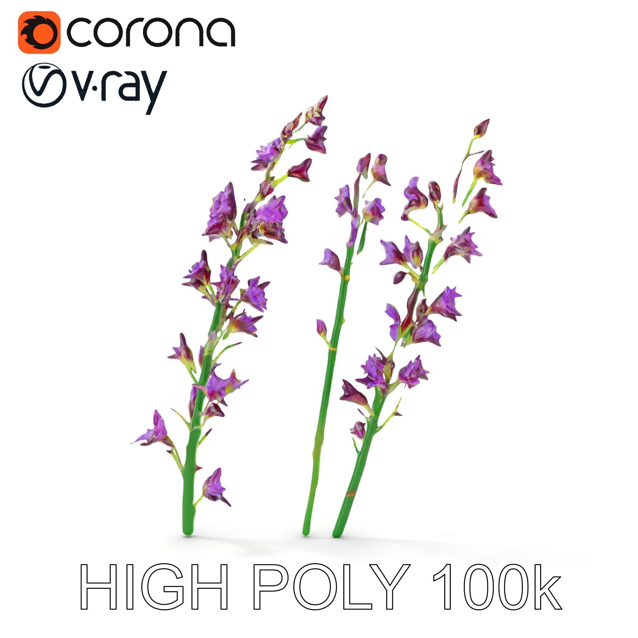 Lavender Flower Model Pack for Realistic Rendering Low-poly 3D model_21
