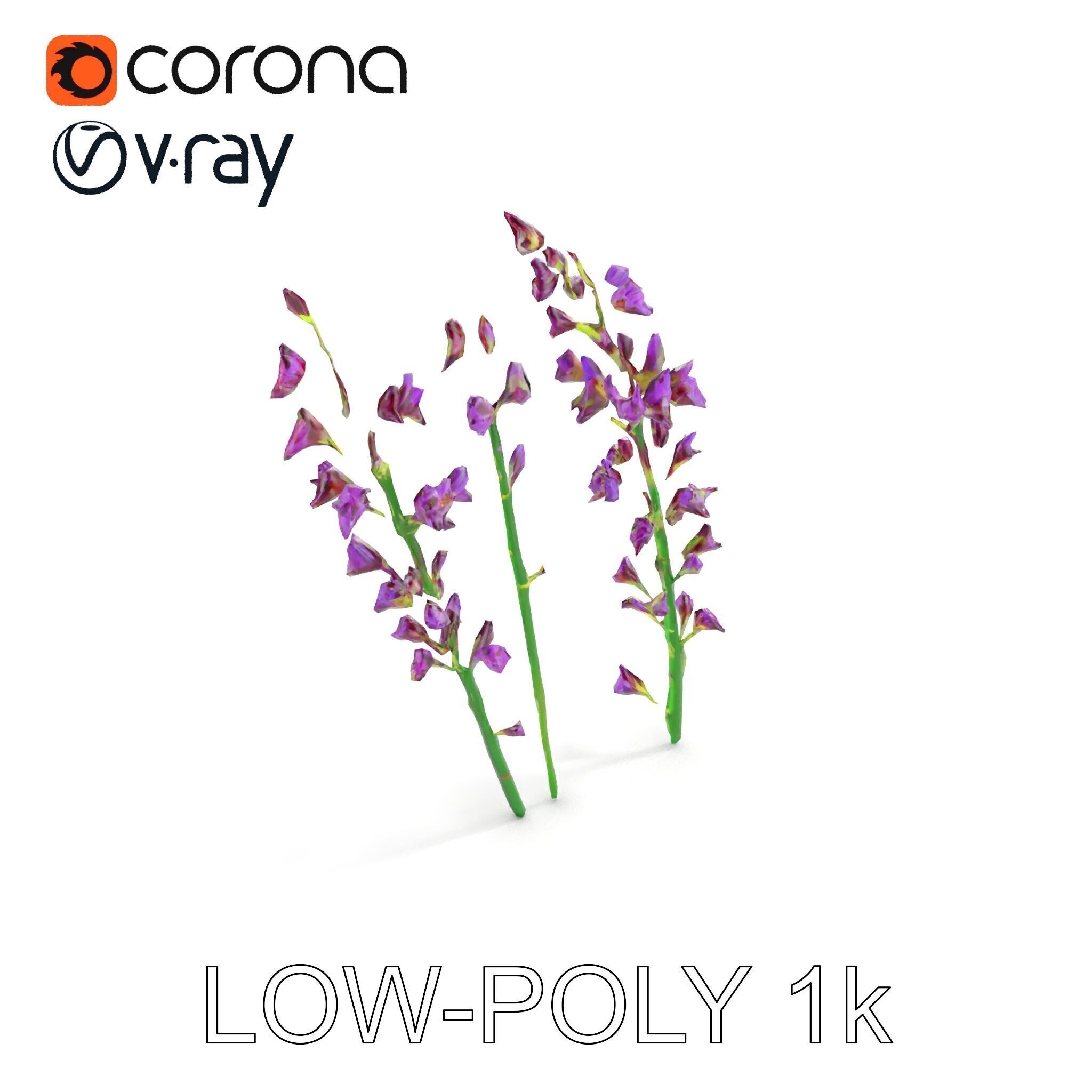 Lavender Flower Model Pack for Realistic Rendering Low-poly 3D model_10