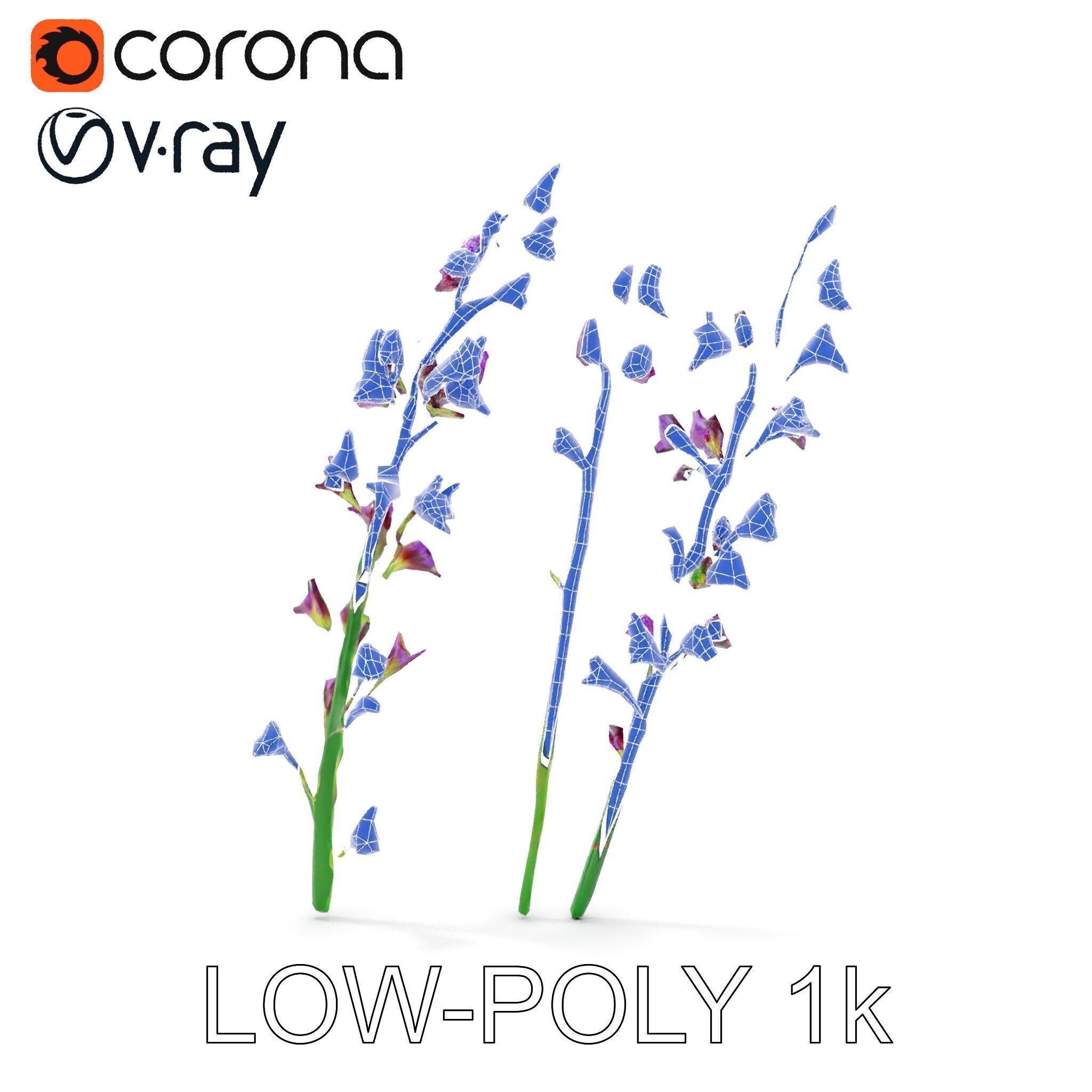 Lavender Flower Model Pack for Realistic Rendering Low-poly 3D model_29