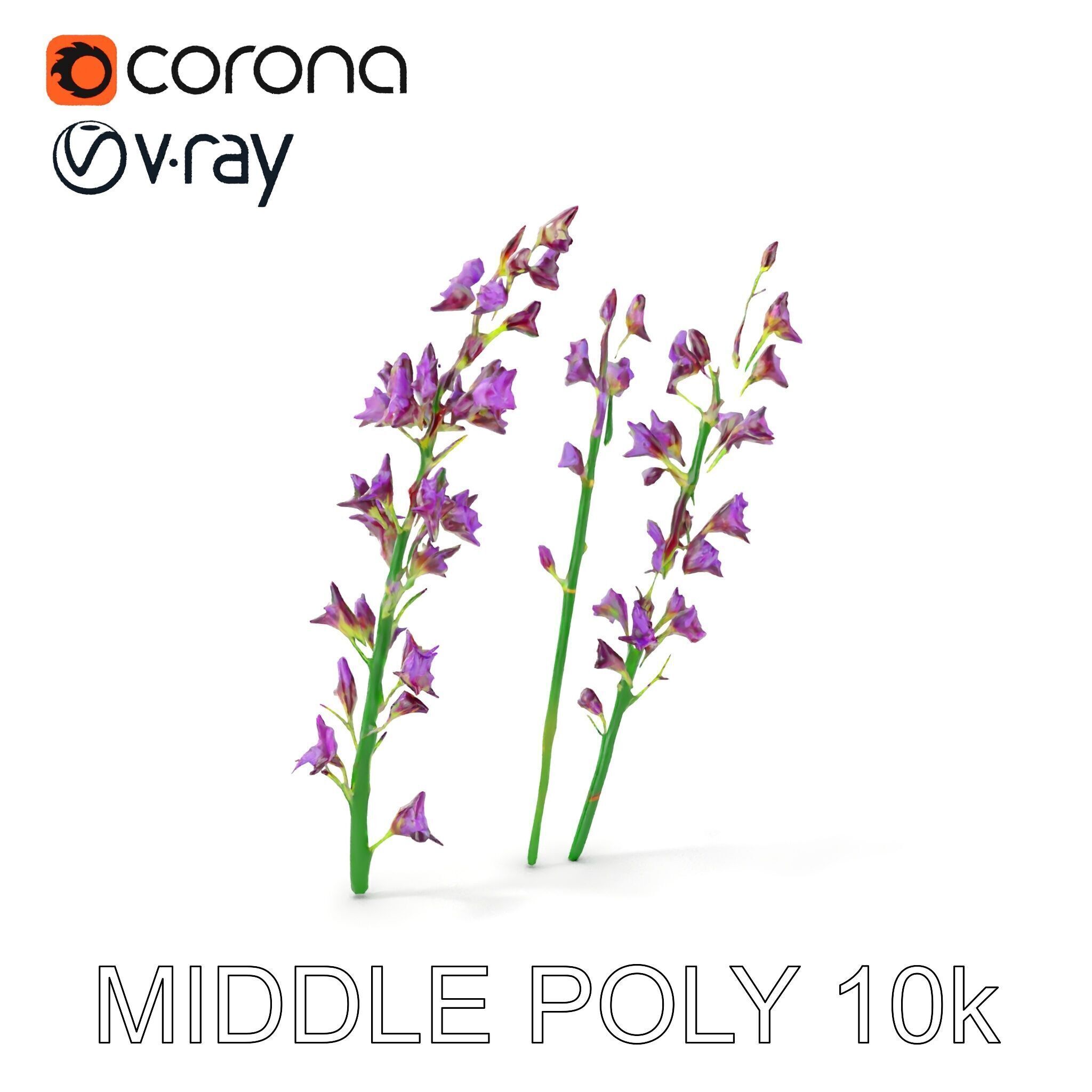 Lavender Flower Model Pack for Realistic Rendering Low-poly 3D model_7