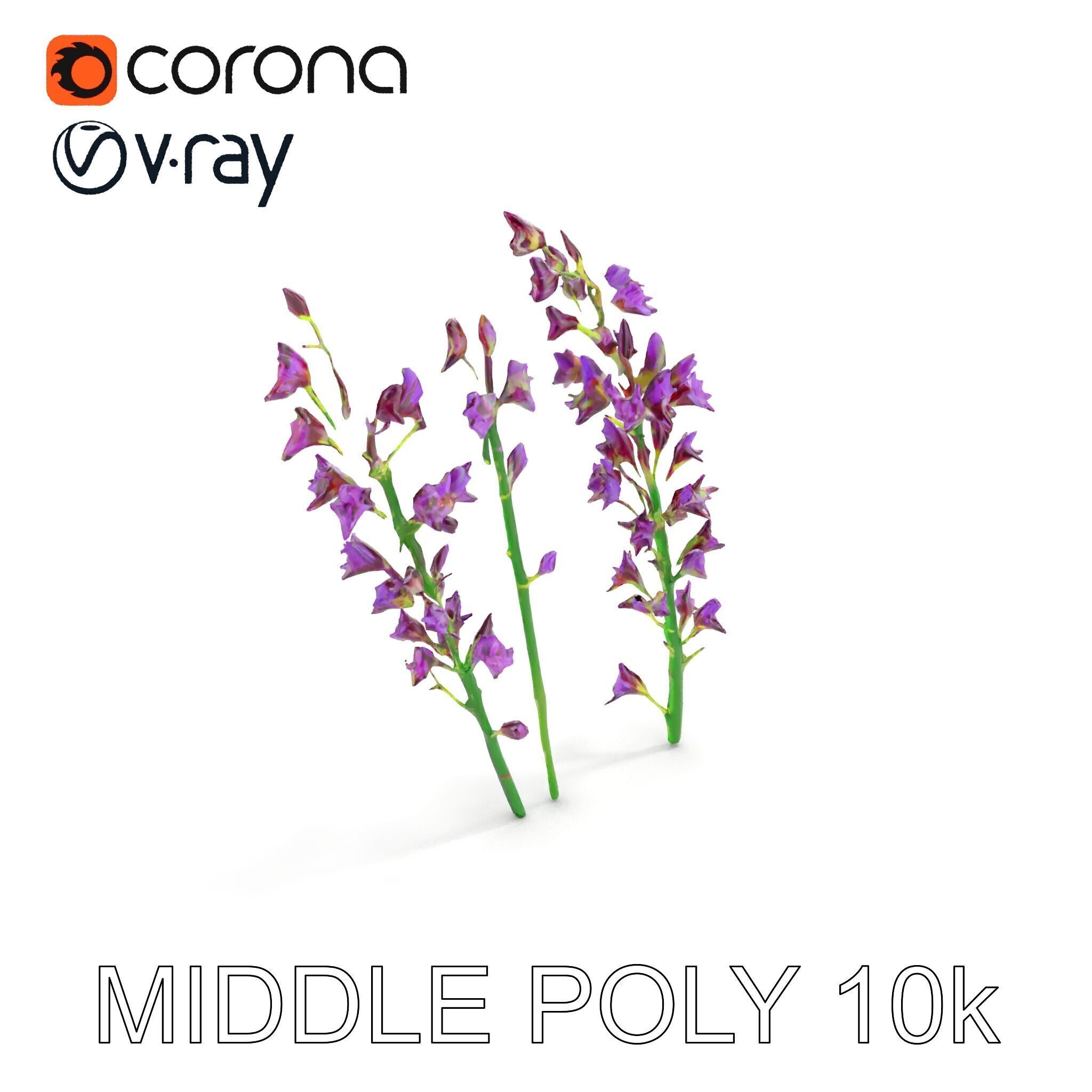 Lavender Flower Model Pack for Realistic Rendering Low-poly 3D model_9