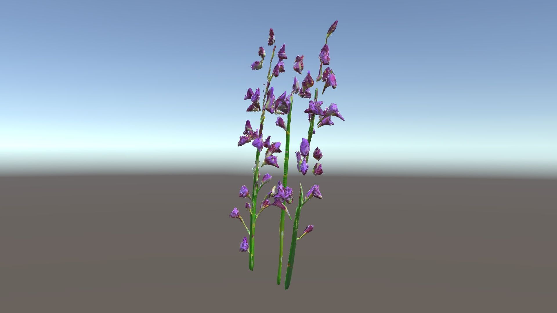 Lavender Flower Model Pack for Realistic Rendering Low-poly 3D model_35