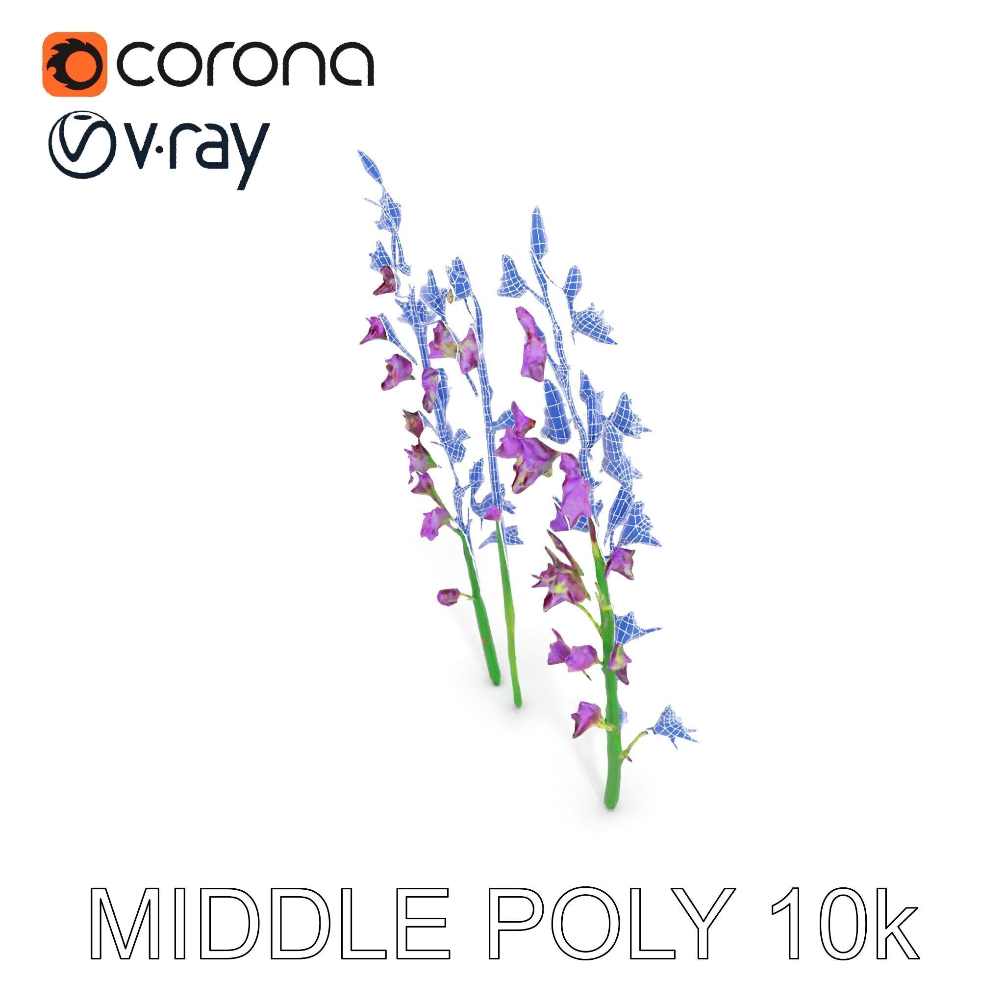 Lavender Flower Model Pack for Realistic Rendering Low-poly 3D model_17