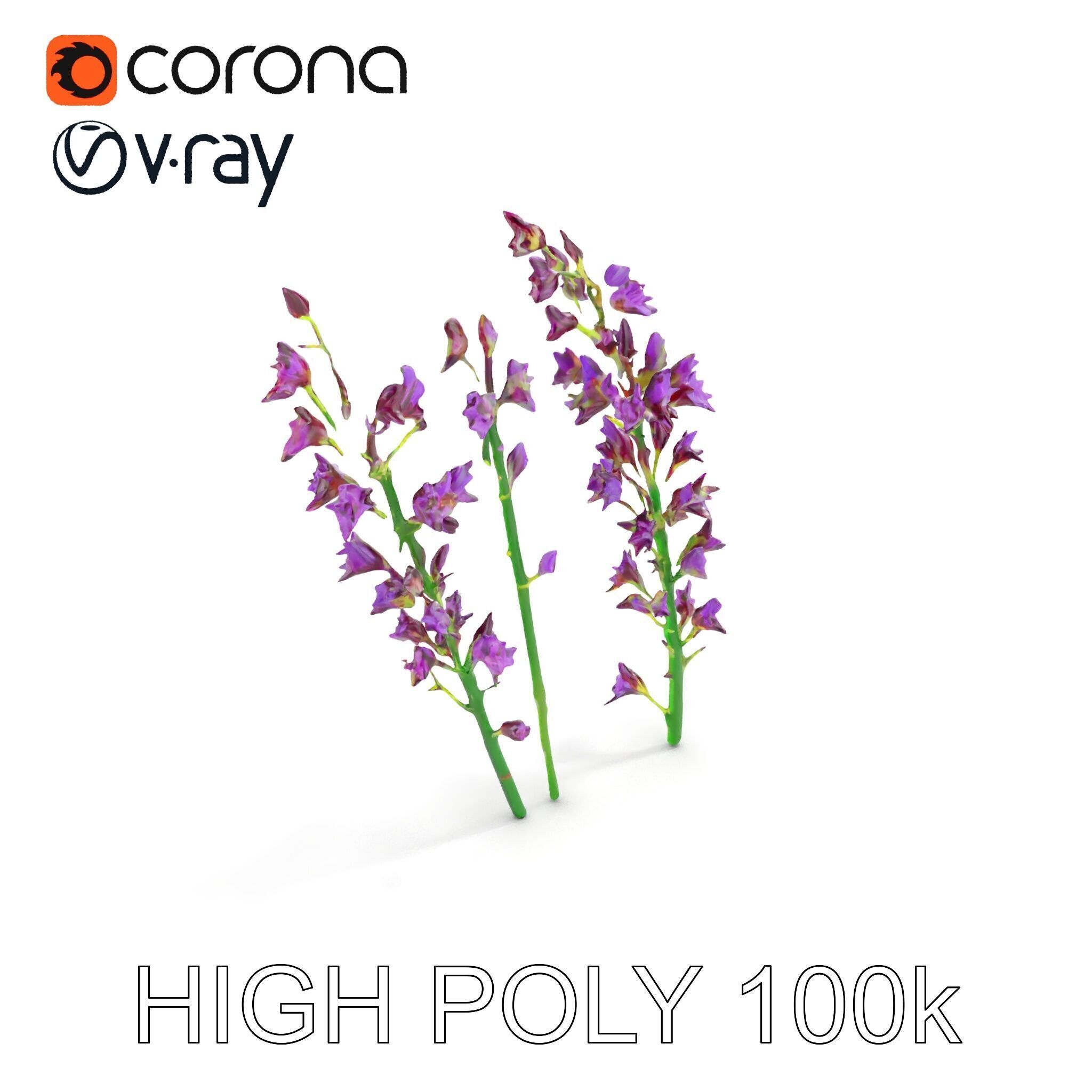 Lavender Flower Model Pack for Realistic Rendering Low-poly 3D model_14