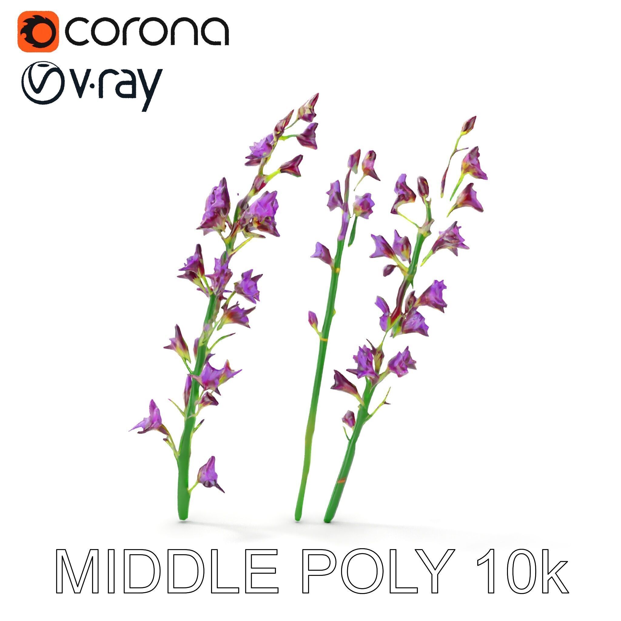 Lavender Flower Model Pack for Realistic Rendering Low-poly 3D model_15