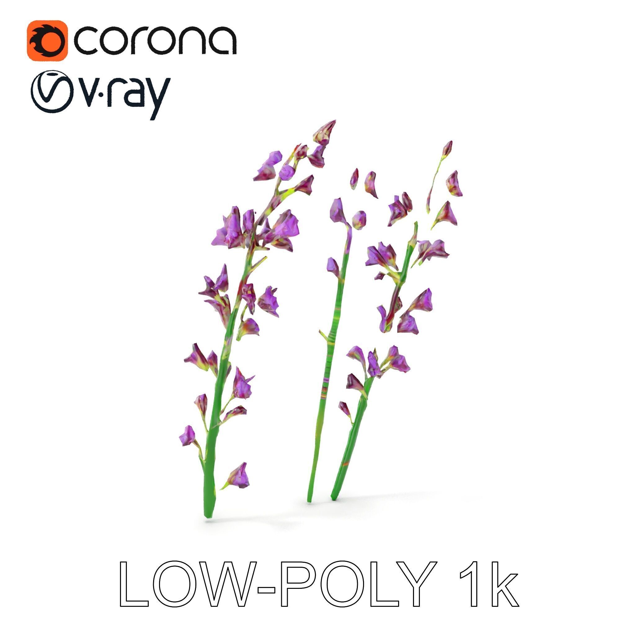 Lavender Flower Model Pack for Realistic Rendering Low-poly 3D model_8