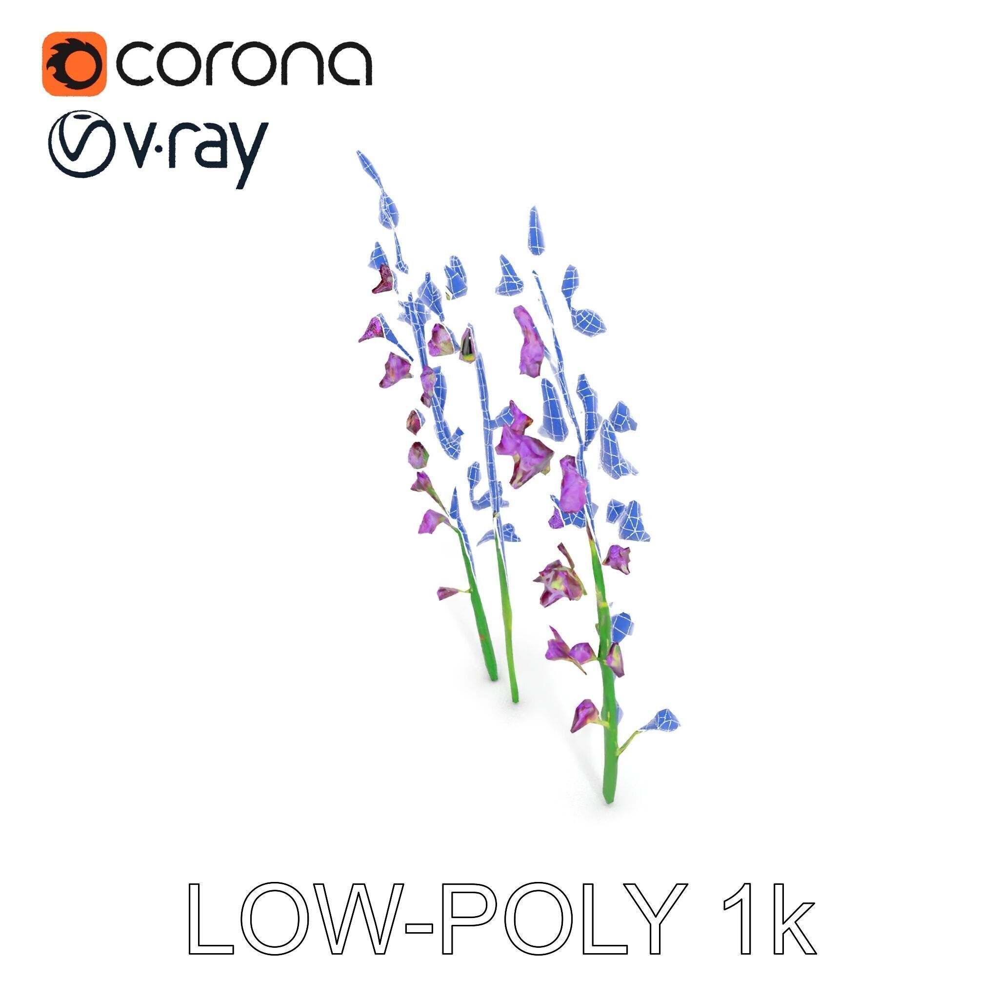 Lavender Flower Model Pack for Realistic Rendering Low-poly 3D model_16