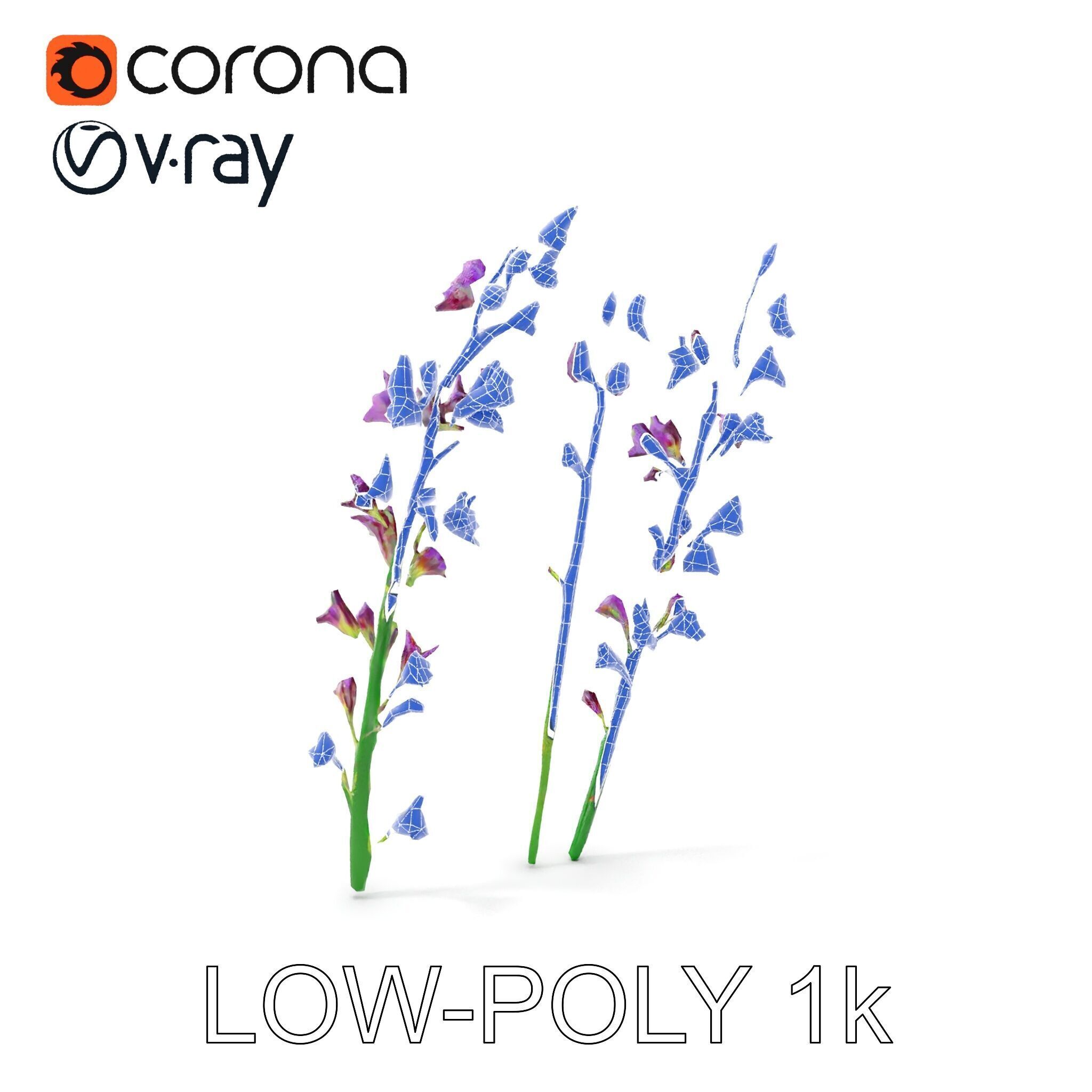 Lavender Flower Model Pack for Realistic Rendering Low-poly 3D model_13