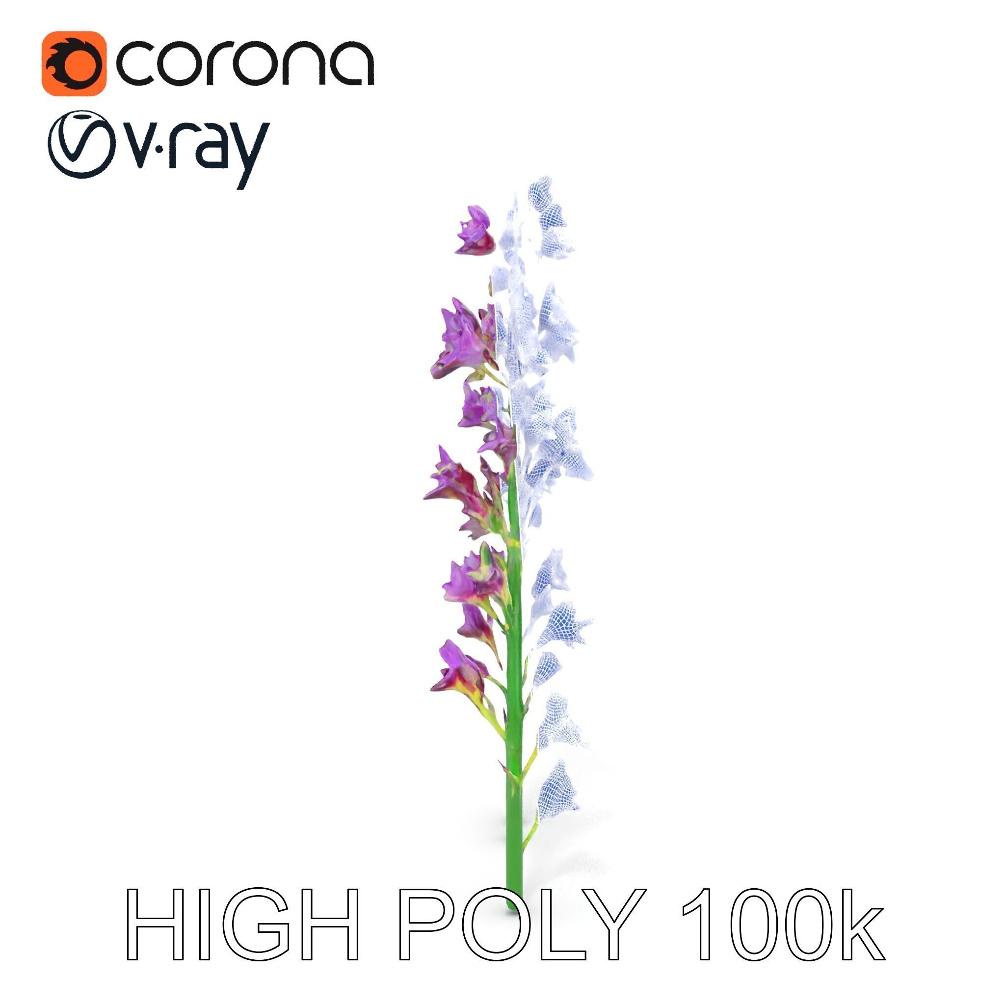 Lavender Flower Model Pack for Realistic Rendering Low-poly 3D model_33