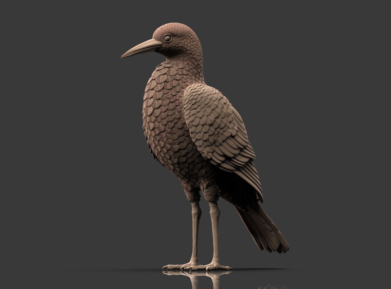 Bird Sculpture 3D print model_8
